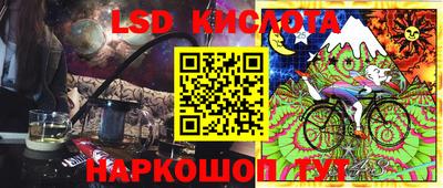 гашик Бийск