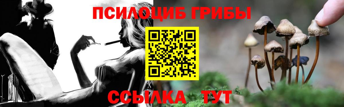 Псилоцибиновые грибы мицелий Зеленокумск